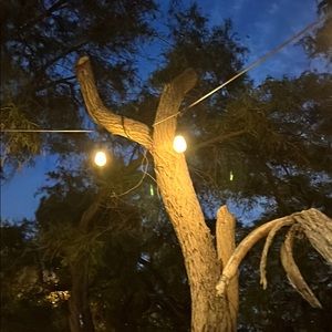 Meet your Posher, Chelle